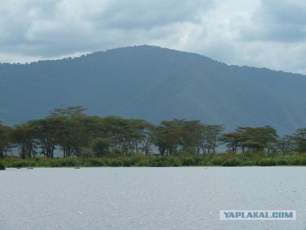 AFRICA - (Эфиопия,Кения,Танзация) 4-16 ноября 2011