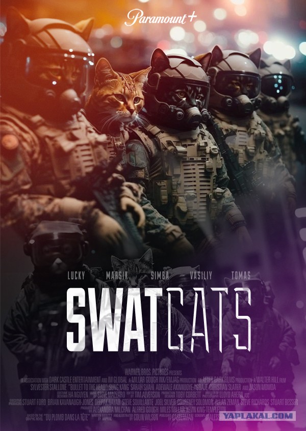 SWAT-котики