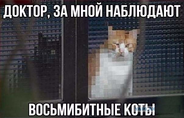 Просто фотки с животными №2