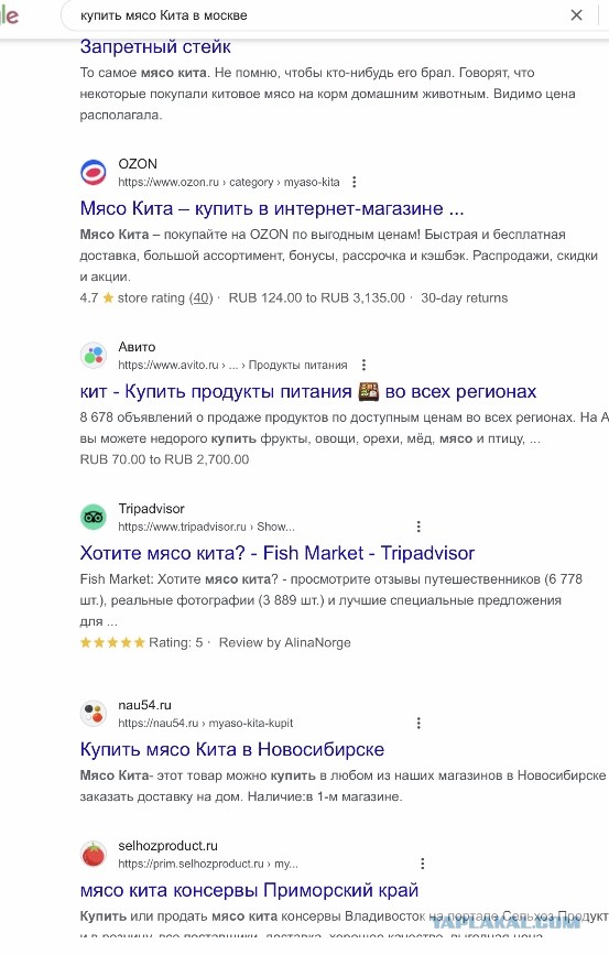 В СССР это необычное мясо было очень популярно, а теперь его невозможно купить: вот почему исчезли консервы из кита