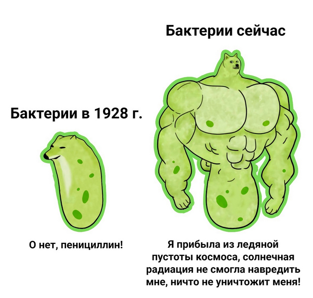 На МКС обнаружили устойчивые к лекарствам и потенциально опасные мутировавшие штаммы бактерий