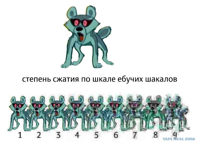 Шакальное качество мем