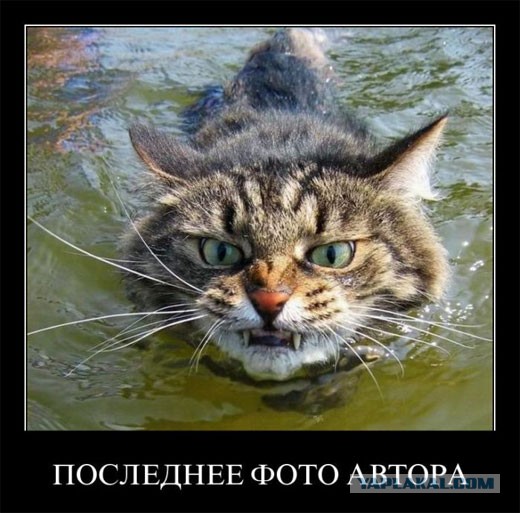 Воплощение зла