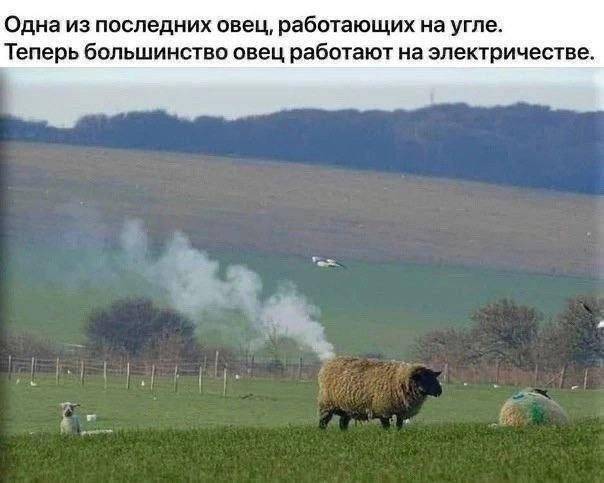 Расскажи мне про море