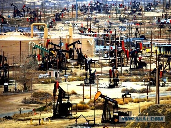 Зачем США покупают нефть во всем мире, когда сами добывают ее больше всех и одни из лидеров по ее продаже?