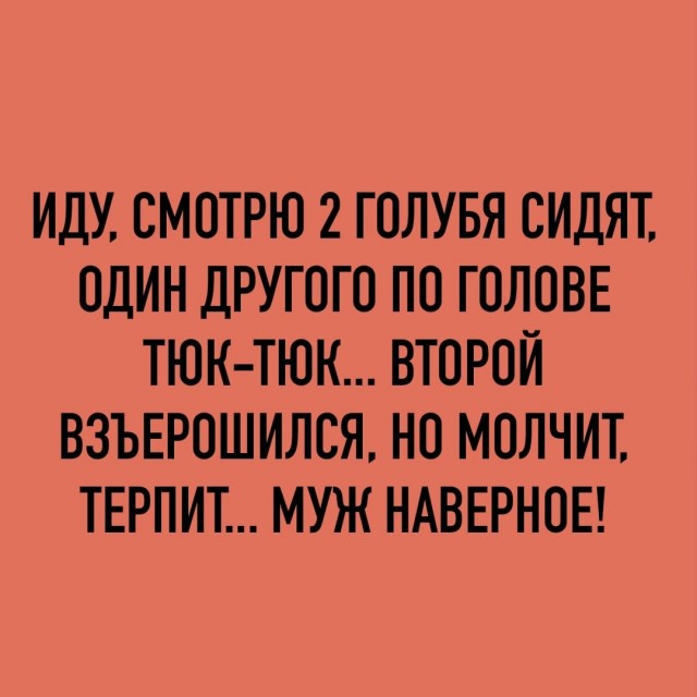 Сегодня отмечается День холостяка