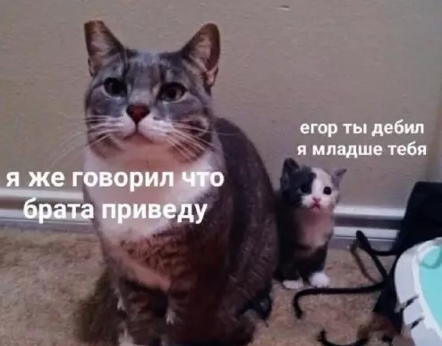 Картиночки, баянчики 15 марта