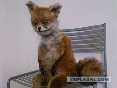 20-летний поэт из Слуцка