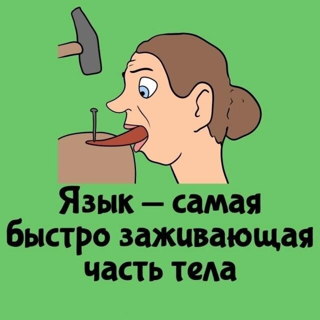 Интересные и короткие факты,на все случаи жизни 23.10.26