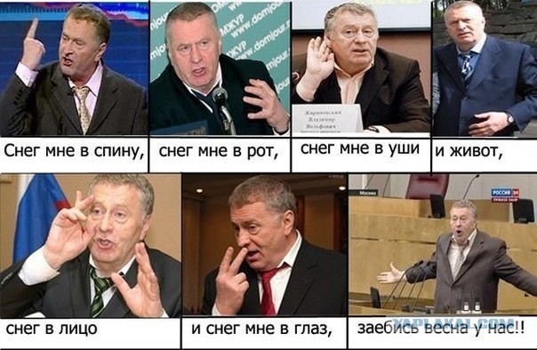 Владимир Вольфович негодует
