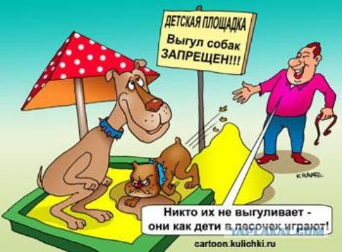 Попытка образумить владельцев собак