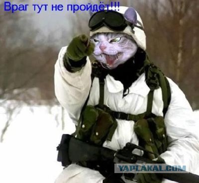30 трупов за одну ночь