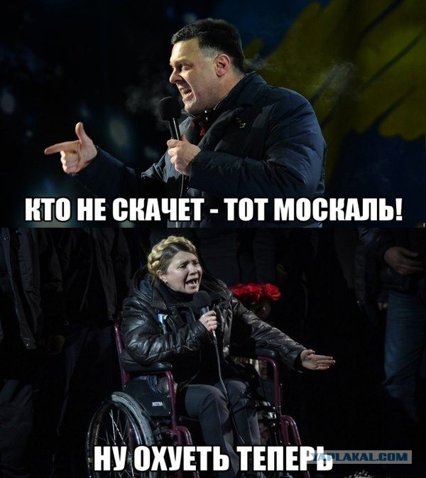 Тимошенко коксовый торчек