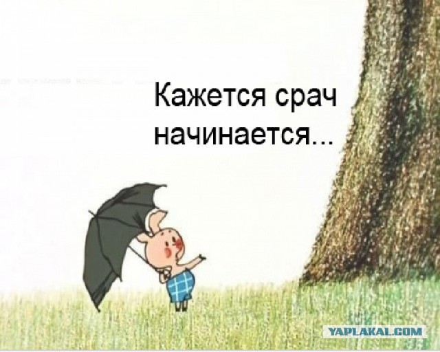 Популярные мемы на ЯПе