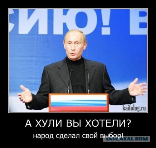 Голосуй, не голосуй