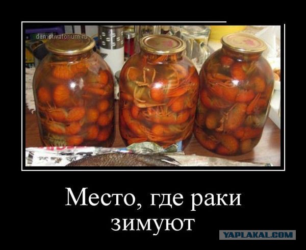 Забавные картинки из Сети