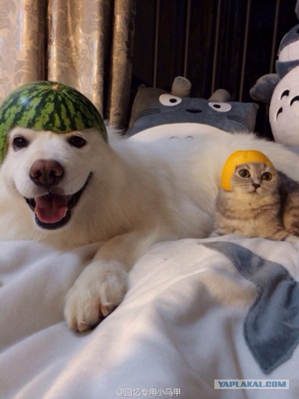 Новая форма полиции Баварии.