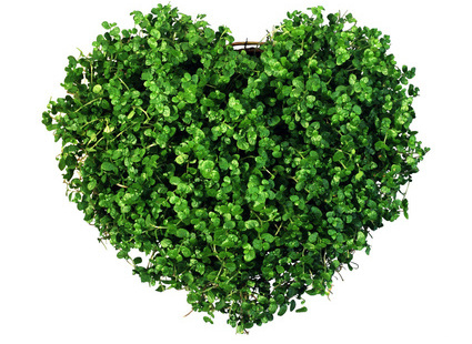 Главное - вера в себя и настойчивость.