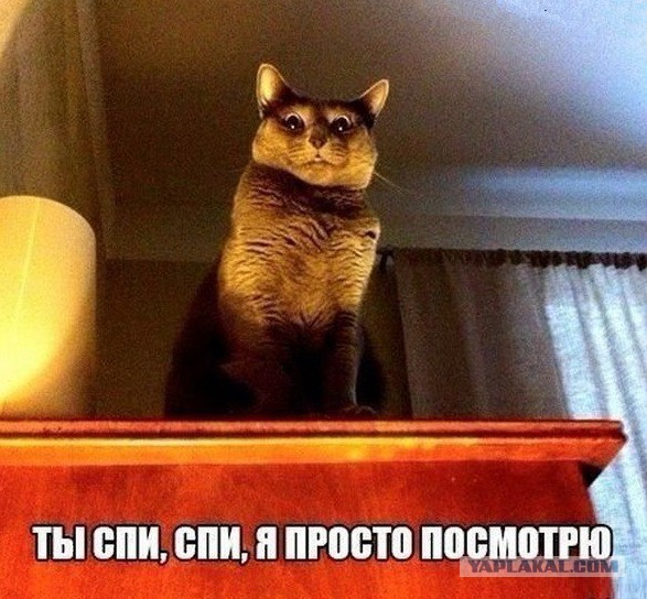 Точка