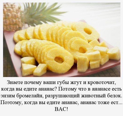Смешные комментарии и картинки на новогоднюю и околоновогоднюю тематику