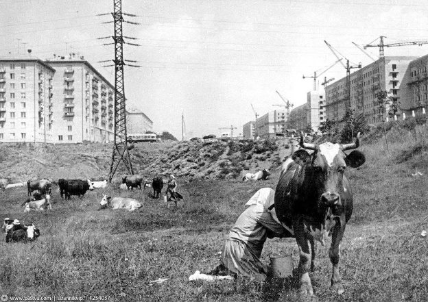 Интересные и редкие фотографии