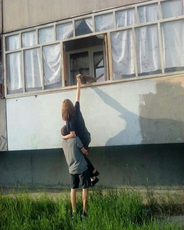 Прикольных котов пост