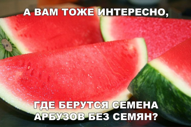 Прикольные картинки абавсём