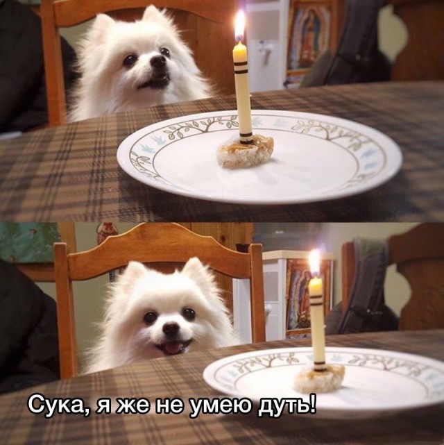 Специфический юмор
