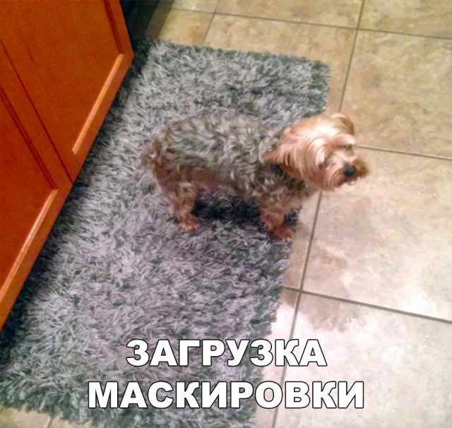 Нестандартный юмор