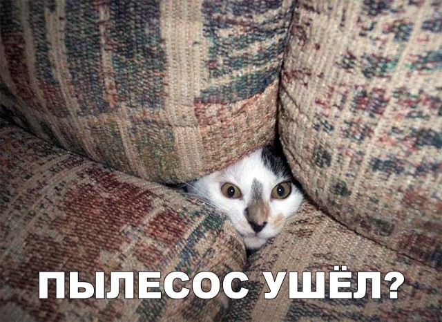 Немного милоты