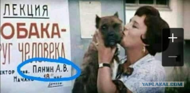 Не очень адекватный юмор