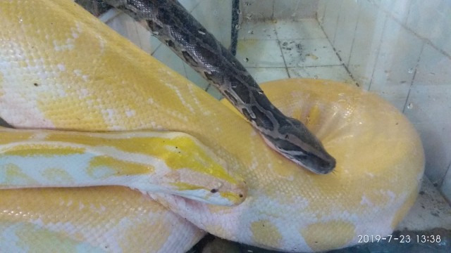 Продолжаю жить в Липецке