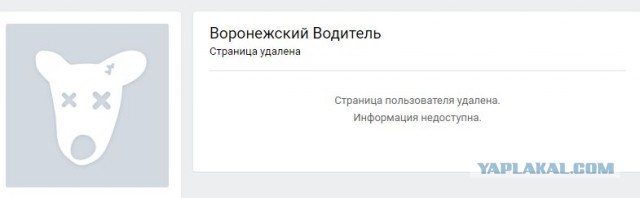 Профессионал сферы услуг из Воронежа продемонстрировал пассажирам высокие стандарты сервиса