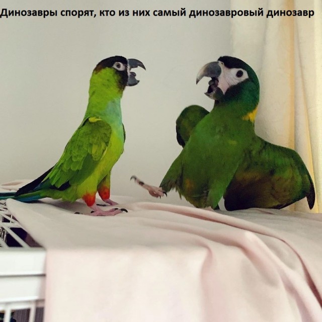 Чуток картинок 13.06.22