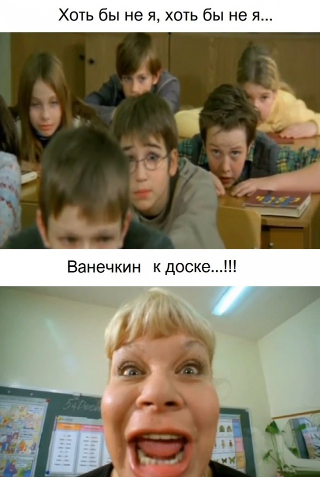 Весёлый полтишок 15.07.22