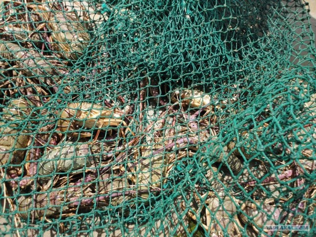 Путешествие в Сьерра-Леоне