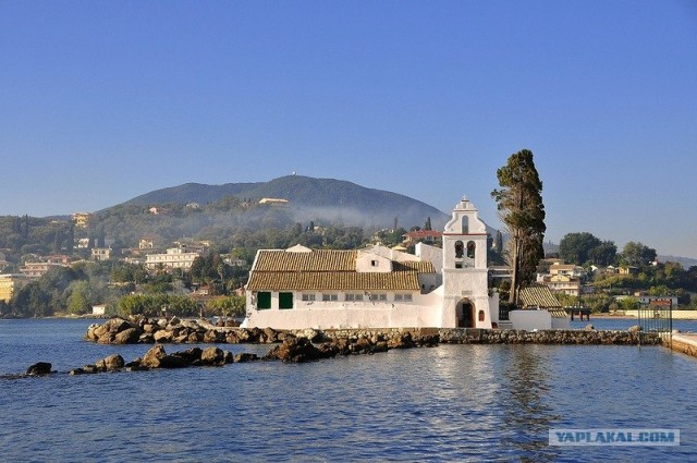 Любовь с первого взгляда