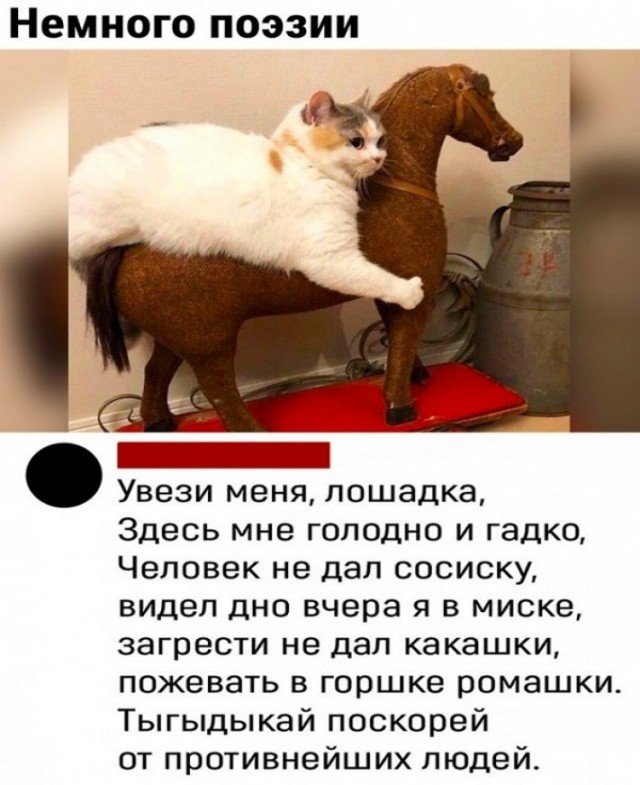 Немного картинок для настроения - 131