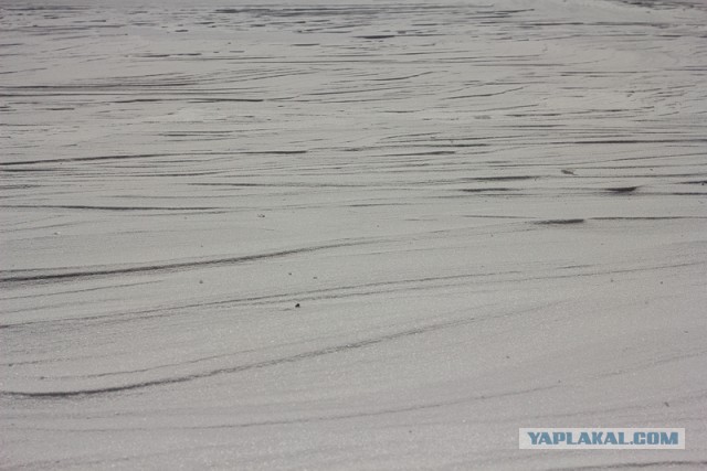 23 марта. Киев. Весна.