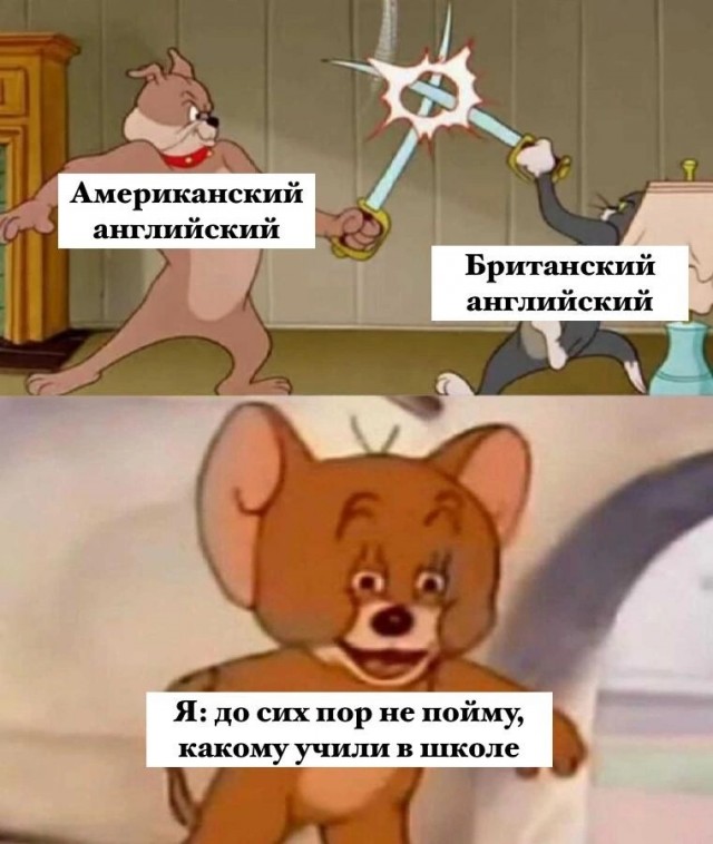 Весёлый полтишок 25.01.23