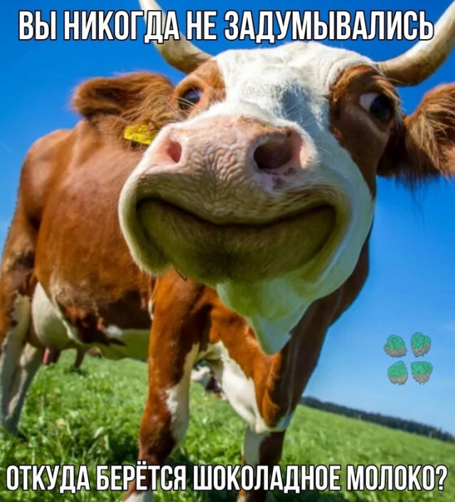 Немного картинок для настроения - 137