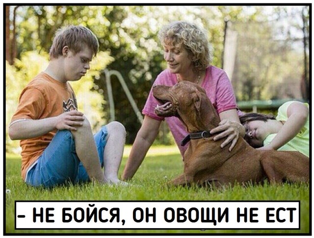 Чёрно-пошлая деградация