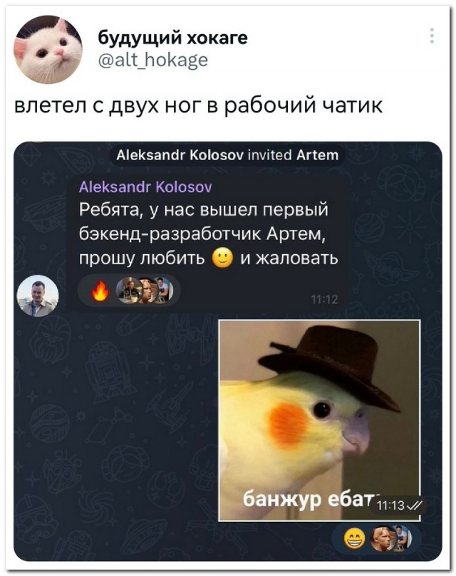 Забавные комментарии из социальных сетей (17.04.23)
