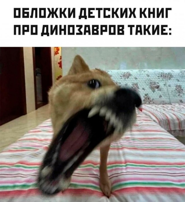 Картинки и мемы, всяко разно - 181