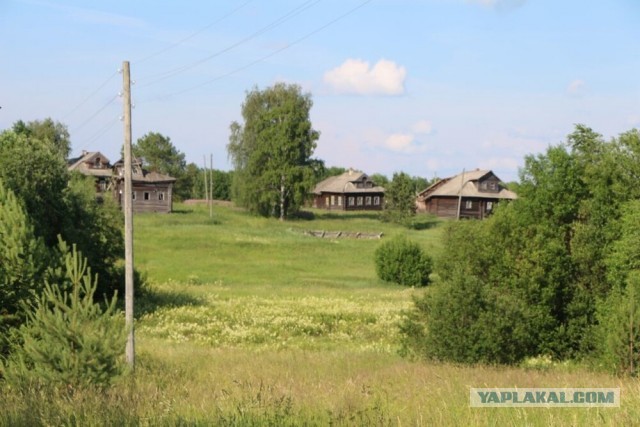 Далекая деревня на севере Костромской области. Бабушка живет одна в деревне