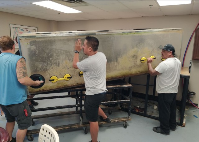 Аквариум в Монтерей, рыбы и коты