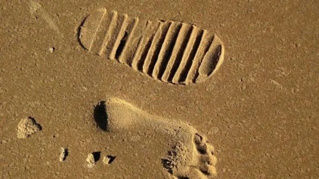 20 удивительных фактов, которые больше похожи на вымысел