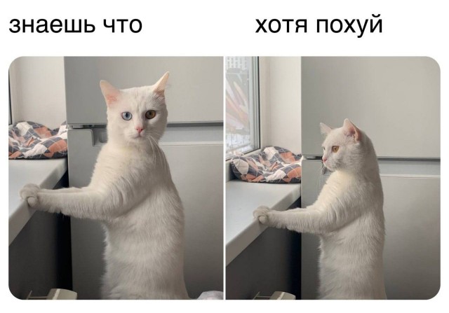 Народная меДИЧина 3015