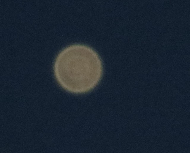 Первый раз увидел "вживую"