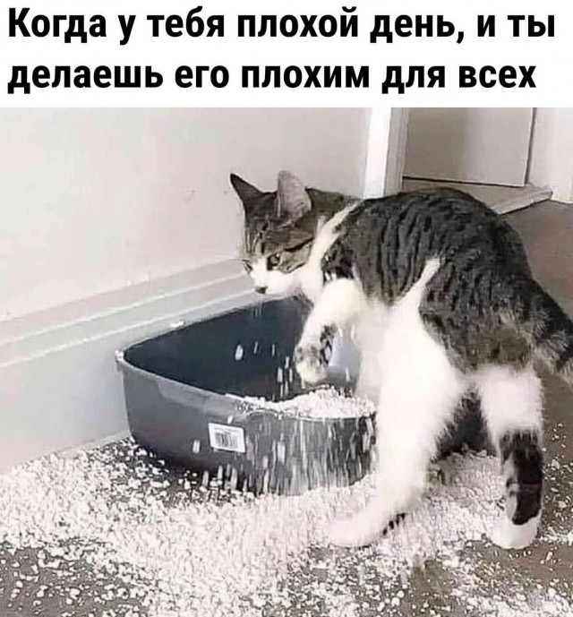Так себе картинки 14.04.24